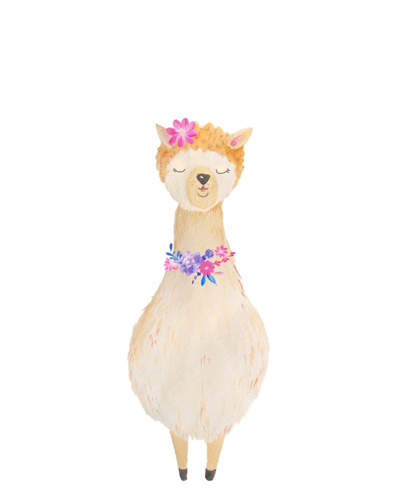 Baby Llama Nursery Decor Print Farm Animal Nursery Alpaca - Etsy