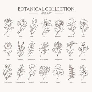 Könnte beinhalten: Eine Sammlung von einundzwanzig botanischen Strichzeichnungen in Schwarz, angeordnet in drei Reihen. Der Text BOTANICAL COLLECTION LINE ART steht oben. Jede Blume und Pflanze ist mit ihrem Namen beschriftet, darunter Rose, Pfingstrose, Tulpe, Lilie, Hortensie, Magnolie, Mohn, Gänseblümchen, Lavendel, Eukalyptus, Olivenzweig, Ranunkel, Freesie, Baumwolle, Wildblumen, Kirschblüte, Calla, Monstera-Blatt, Ginkgo, Farn und Blattwerk.