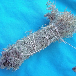 Lot de sauge du désert séchée cultivée à l&#39;état sauvage biologique - bâtonnet de taches - encens