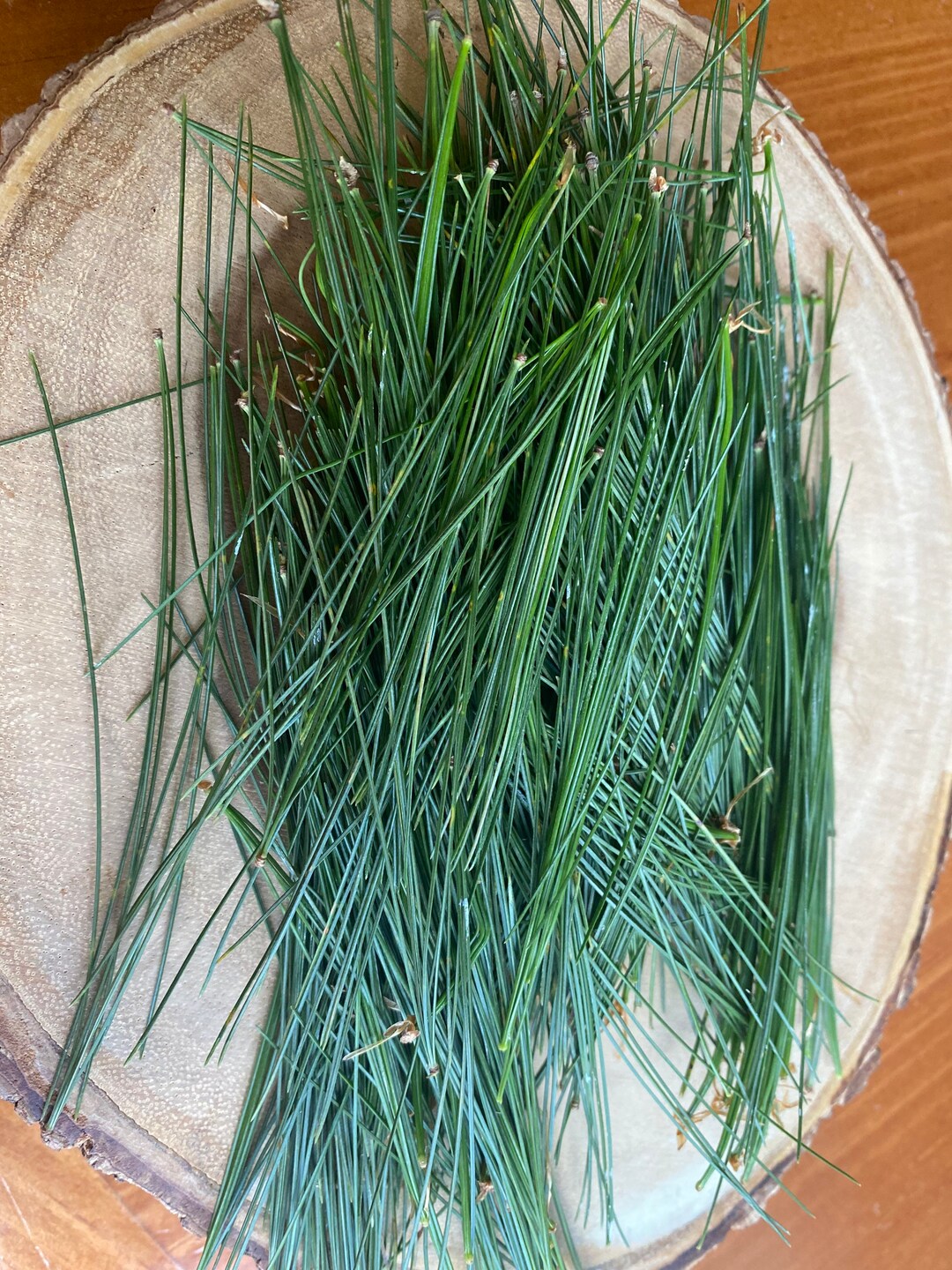 Fresh Picked or Dried Made to Order Eastern White Pine Needles for Pine