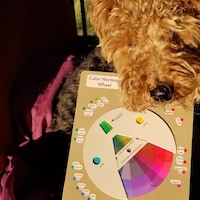 Color Harmony Wheel - Etsy