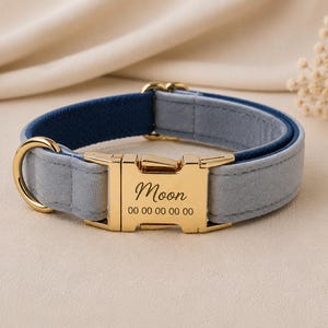 Puede incluir: Un collar para mascotas en azul claro y azul oscuro con una hebilla de metal dorado. La hebilla tiene grabado el nombre Moon y una secuencia de ceros. El collar incluye una anilla en D dorada para enganchar una correa o una placa.