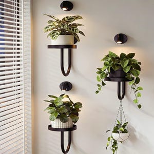 Pode incluir: Três prateleiras de parede pretas com focos circulares integrados acima de cada uma. Duas prateleiras sustentam plantas verdes em vasos, enquanto a terceira suporta um vaso preto com uma planta pendente e um vaso branco suspenso por corrente.