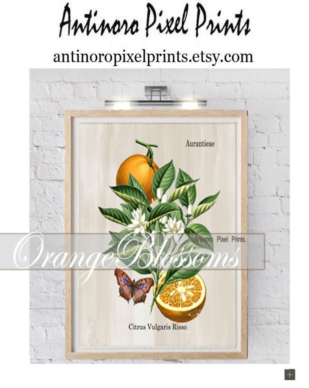 Orange Blossom Print, Custom Wall Art, Floral Black White Art Prints, 1 ...