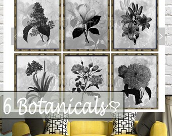 Charcoal Gray White  Floral Art Print, Botanical Art, Wall Art Set, floral Wall Art, Wall Art Prints, Flower Prints, Black  Prints