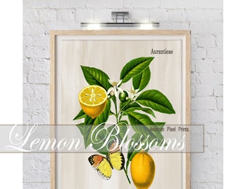 Lemon Blossom Butterfly Print, Custom Wall Art, Floral Black White Art Prints, (1) 16x20 Prints (UNFRAMED) #1488718092
