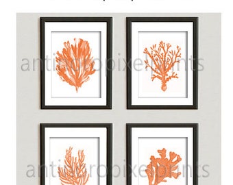 Orange A9 Art Print Beach House Coral Prints  Wall Art Modern Inspired -Set of (4) 8x10  (UNFRAMED)
