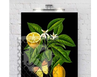 Lemon Blossom Tree Butterfly Print, Custom Wall Art, Floral Black White Art Prints, (1) 16x20 Prints (UNFRAMED) #637519643