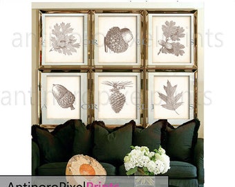 Chocolate Brown Cream Leaves Acorn Foliage Print Art Pictures - Set includes  (6) 11x14 Wall Prints (UNFRAMED) #253438545