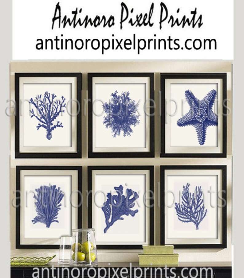 Art Print Beach House Prints Navy Creme Coral Wall Art Modern Etsy