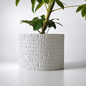 May include: A cylindrical white planter featuring embossed Latin placeholder text across its exterior surface. The planter contains a green plant with multiple leaves extending from the top. The design consists of horizontal bands of text.