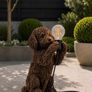 Può includere: Una statuetta di cane marrone dal pelo riccio, seduta in posizione eretta, che tiene in mano una lampadina rotonda e trasparente con filamenti visibili. Il cane è collegato a un cavo elettrico nero che si estende con un piccolo interruttore.