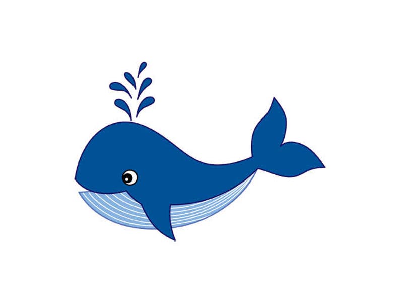 Whale Clipart Digital Vector Whale Sea Ocean Nautical | Etsy Whale Clipart Digital Vector Whale Sea Ocean Nautical | Etsy