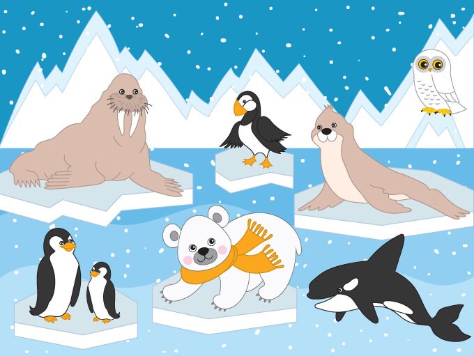 Arctic Animals Clipart Digital Vector Arctic Winter Ice - Etsy