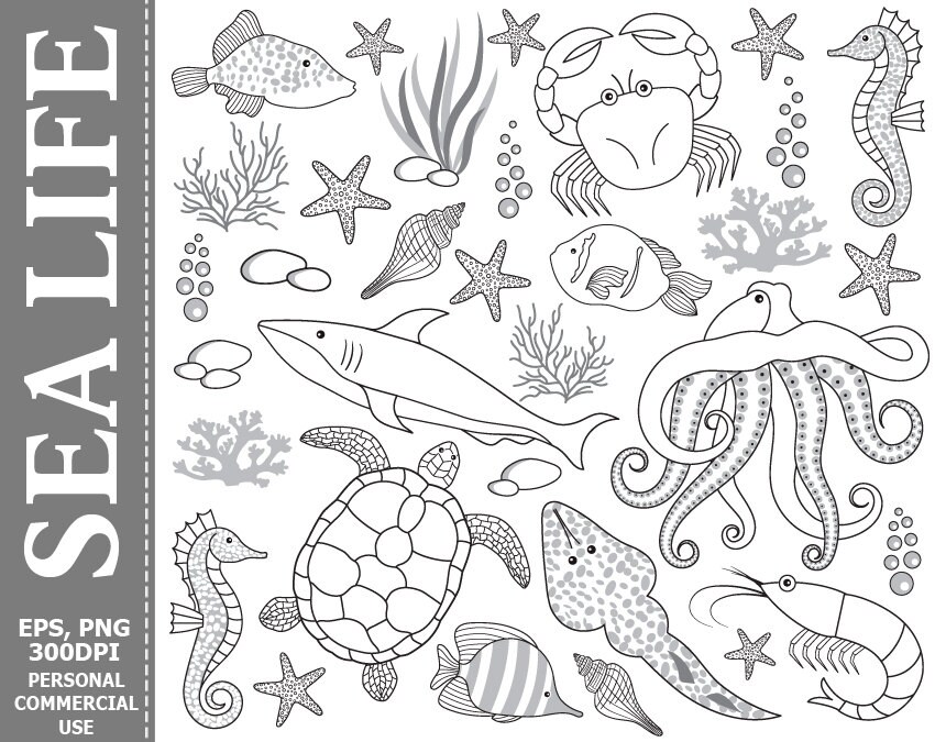 ocean animals underwater clipart black