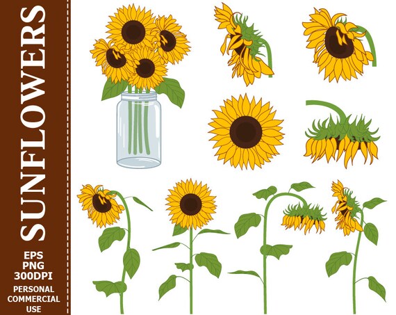 Download Digital Sunflowers Clip Art Yellow Green Sun Flowers | Etsy