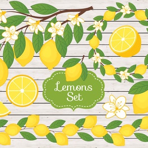 Lemon Clipart - Vector Lemon Clipart, Rustic Clipart, Lemons Clipart, Citrus Clipart, Lemon Branch Clipart, Lemon Clip Art