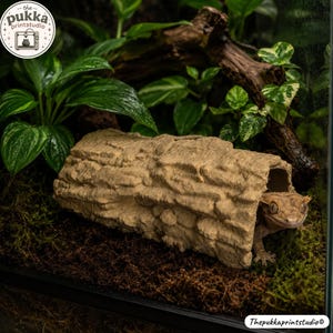 May include: A tan, textured, cylindrical reptile hide shaped like a hollow log with a rough, bark-like exterior. A small, brown crested gecko is partially visible, peeking out from the open end of the log. The hide is placed on dark soil.