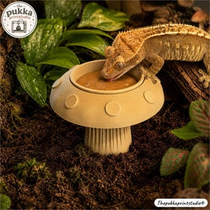 May include: A beige, mushroom-shaped feeding dish with a wide, circular cap featuring raised circular accents and a ribbed stem. A crested gecko is positioned on the cap, licking a brown, paste-like substance from the centre of the dish.