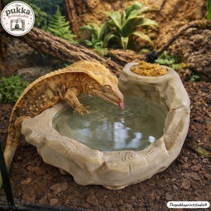 May include: A beige, rock-textured reptile feeding and water dish featuring a circular basin for water and a smaller elevated platform for food. A crested gecko with brown and tan patterned skin is drinking from the water basin.
