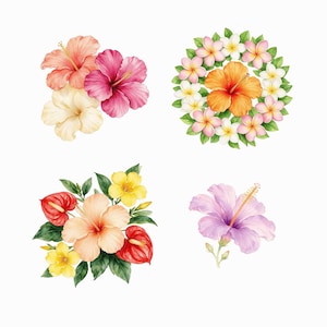 May include: A collection of watercolor illustrations featuring tropical flowers. The set includes a cluster of peach, pink, and cream hibiscus, a wreath of plumeria surrounding an orange hibiscus, a bouquet of hibiscus, anthurium, and yellow flowers, and a single purple hibiscus.