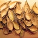 see more listings in the Milkweed Pods section