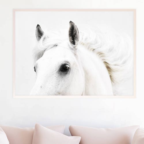 Horse Wall Art Print Black and White Horse Photography Etsy