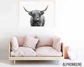 Highland Cow Print, Highland Cow Art, Highland Bull Black and White Printable, Download digitale, Foto, Poster, Immagine, Fotografia, hc2lbw
