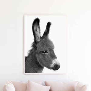 Southwestern Decor Minimalist Wall Art Print, Black and White Photography, Donkey Printable, Burro Photo Poster Download, Nursery dobwp2 image 1