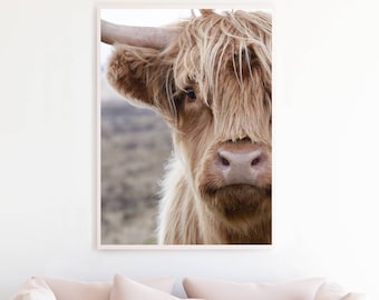 Highland Cow Art, Highland Cow Photo, Highland Cattle Print, Farmhouse Southwestern Large Poster Download, Boho Decor Printable Art, hc3c1c