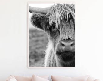 Highland Cow Print, Highland Cow Black and White Photography Printable Poster, Highland Cow Photo, Highland Cow Wall Art Print, hc3c1bw