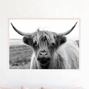 Highland Cow Printable, Highland Cow Digital Download hc5bwl2