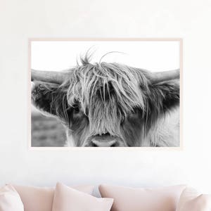 Highland Cow Print, Large Black and White Farm Animal Photography Wall Art Print Poster, Instant Digital Download Nursery Printable hc3zlbw