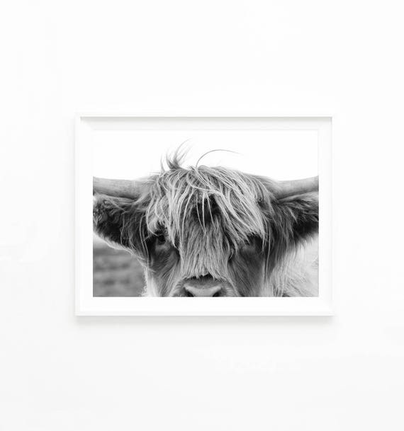 Maison Highland Vache Shaggy Farm Animal Carte De Vœux Anniversaire Notelet Nature Thenewsbullet Com Maison Highland Vache Shaggy Farm Animal Carte De Vœux Anniversaire Notelet Nature Thenewsbullet Com