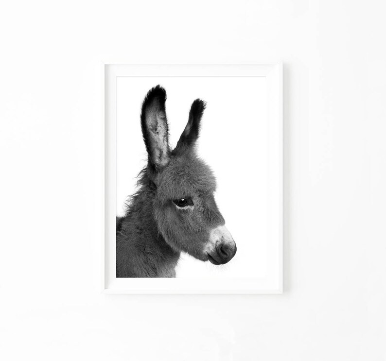 Southwestern Decor Minimalist Wall Art Print, Black and White Photography, Donkey Printable, Burro Photo Poster Download, Nursery dobwp2 image 2