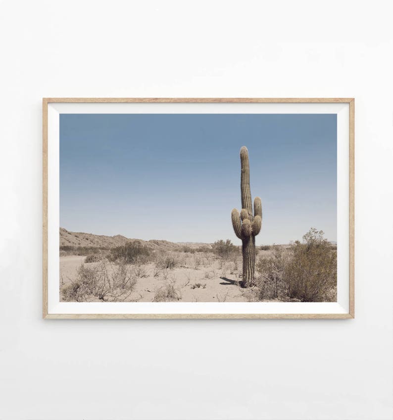Desert Art Desert Decor Desert Wall Art Print Desert Etsy