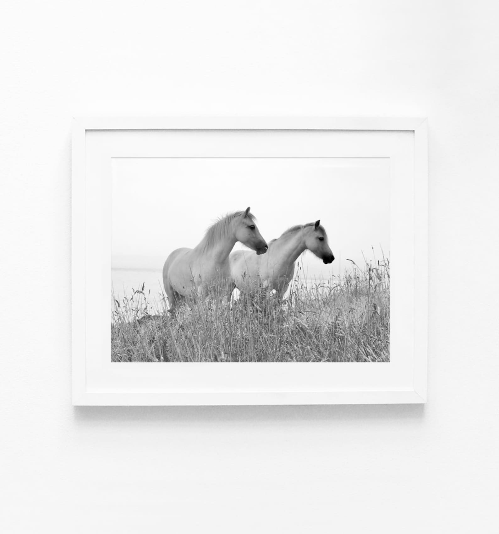 Black And White Printables Horses