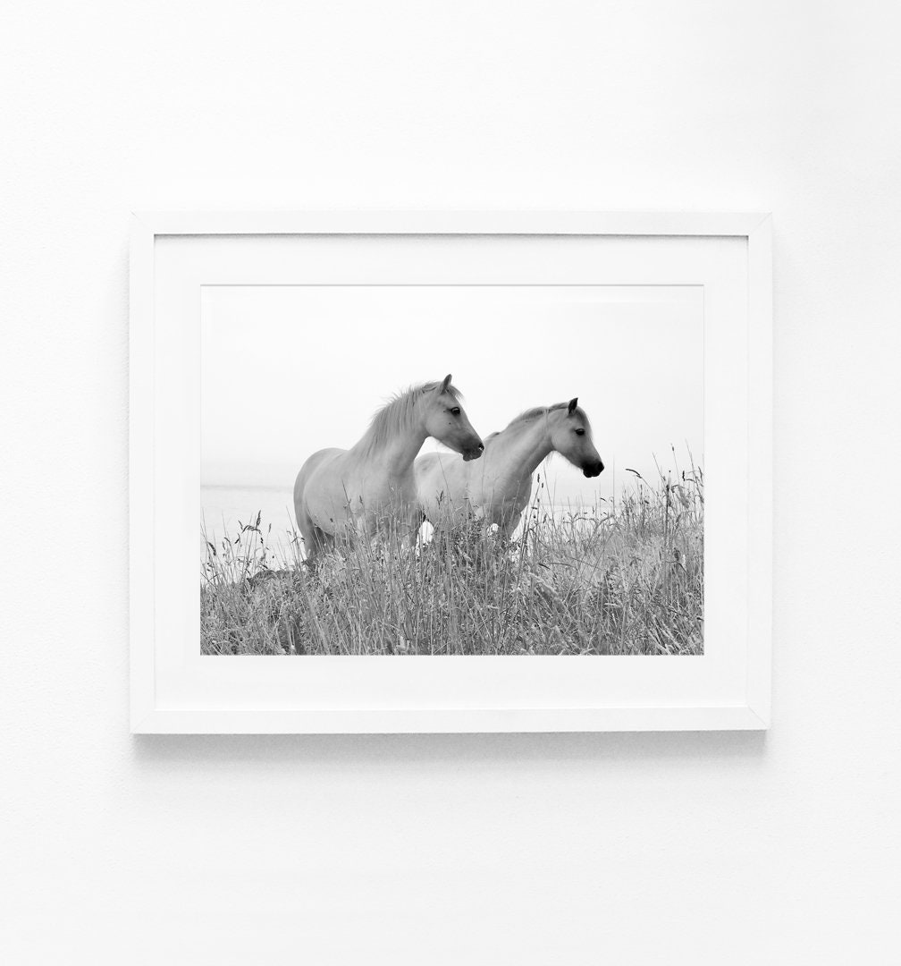 Horses Printable Black and White Horses Print Digital Etsy
