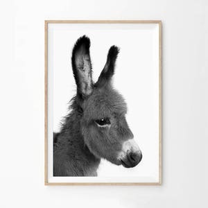 Southwestern Decor Minimalist Wall Art Print, Black and White Photography, Donkey Printable, Burro Photo Poster Download, Nursery dobwp2 image 3