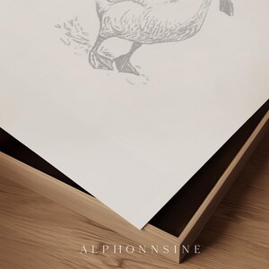 Baby goose printable artwork for child’s room — charming sketch captured in classic monochrome style, with a soft shading effect.