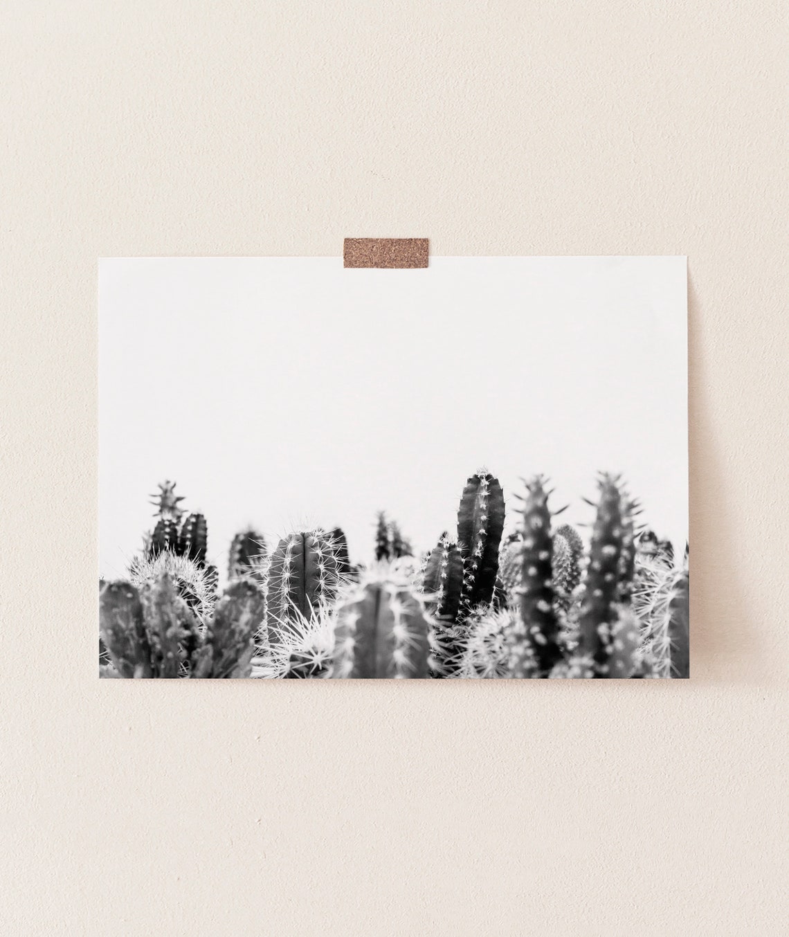 Cactus Wall Art Printable Instant Digital Download Black and - Etsy