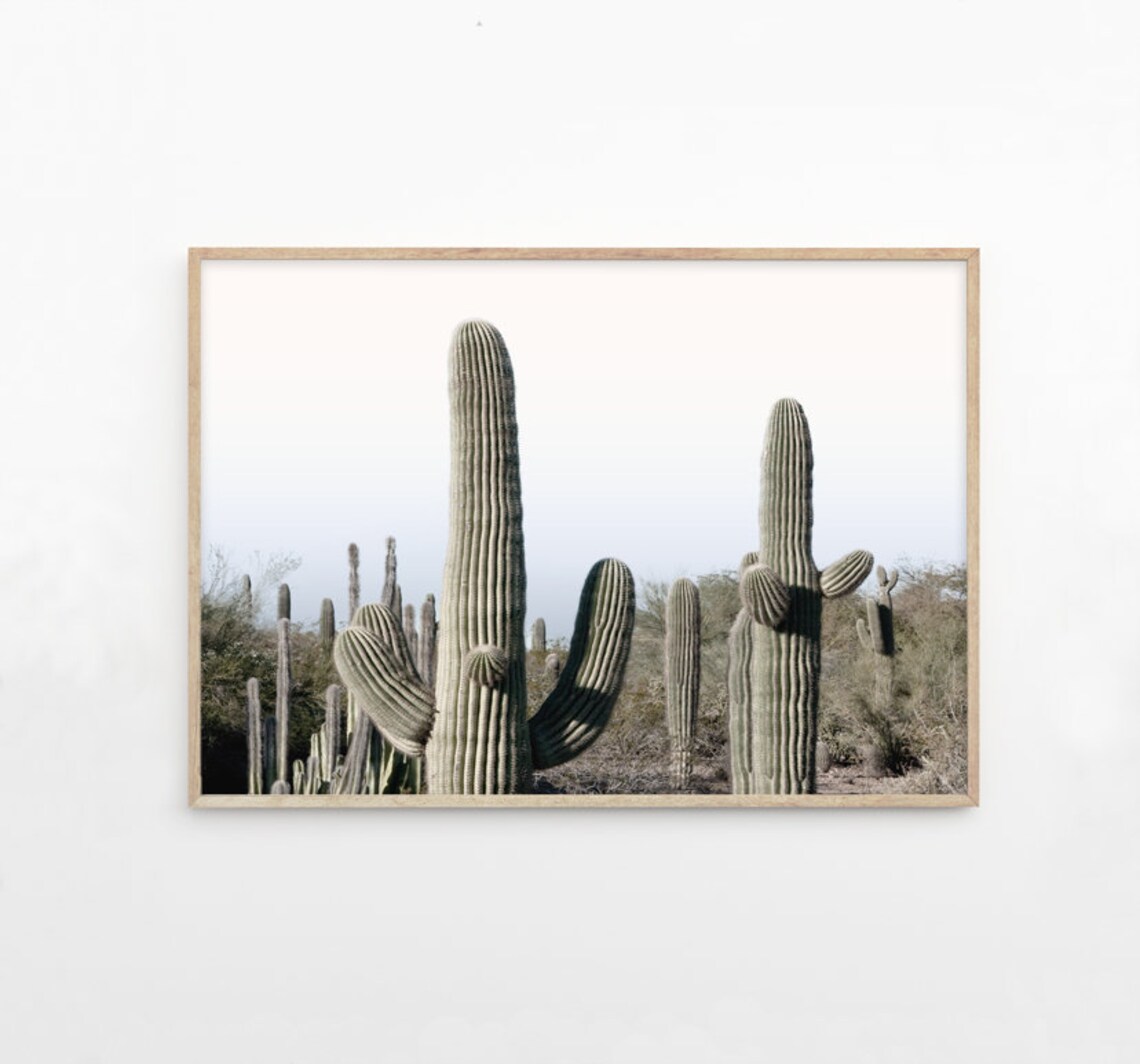 Desert Decor Desert Art Desert Photograpy Desert Wall Art Etsy