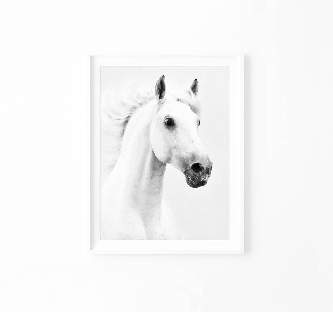 Black and white Horse Print Horse Art Printable Wall Art Etsy