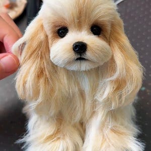 Può includere: Un piccolo cane di peluche con pelo lungo color crema chiaro, occhi marrone scuro e naso nero. La figura presenta un manto morbido e testurizzato che copre tutto il corpo, con lunghi peli fluenti intorno alle orecchie e al viso.