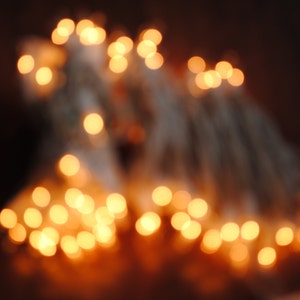 May include: A string of warm white fairy lights, blurred and out of focus, creating a soft, glowing effect.