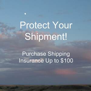 Up to 100 Dollars Shipping Insurance, Domestic or International, Protect your Order with Shipping Insurance