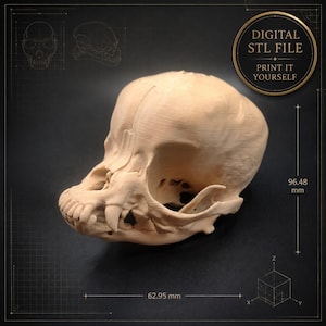 Op de afbeelding: Een beige 3D-geprint dierenschedelmodel met zichtbare laaglijnen. De tekst DIGITAL STL FILE PRINT IT YOURSELF staat in een gouden cirkel. Technische diagrammen tonen afmetingen van 96,48 mm en 62,95 mm op een donkere rasterachtergrond.