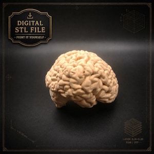 May include: A beige, three-dimensional anatomical brain model with a textured, convoluted surface. The image includes text that reads DIGITAL STL FILE PRINT IT YOURSELF, along with technical diagrams and layer settings of 0.16-0.20 FDM / FFF.