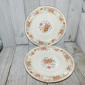 May include: Two cream-colored plates with a floral design. The plates have a gold rim and a pattern of pink, orange, and blue flowers. The plates are on a light-colored wooden surface.