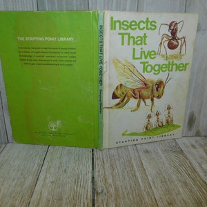 This is a Insects That live Together book Hardcover Book, vintage children&#39;s book, Learning, Homeschooling Gift prop Daysgonebytreasures *y